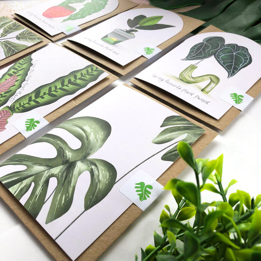 Set of 6 Greeting Cards