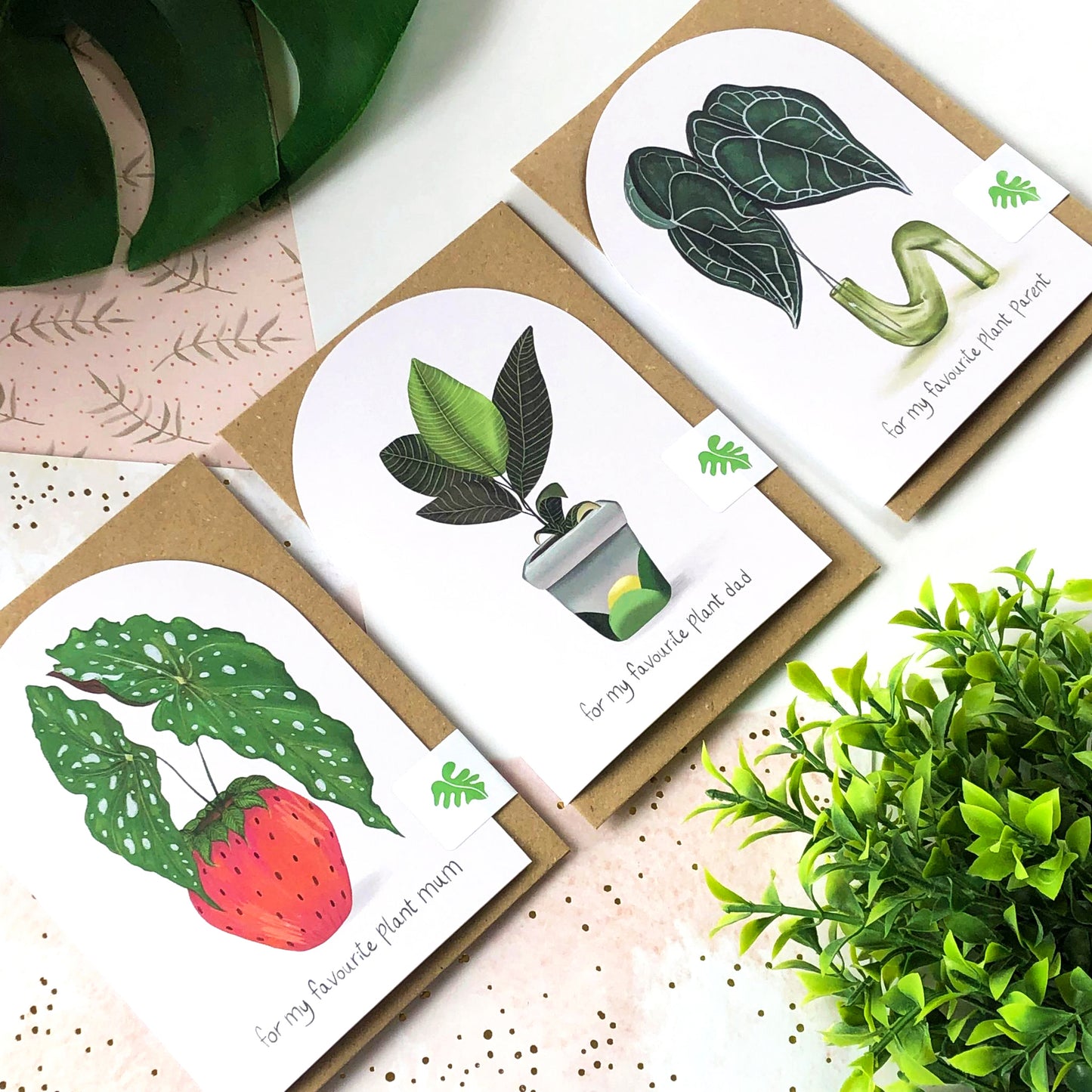 Set of 6 Greeting Cards