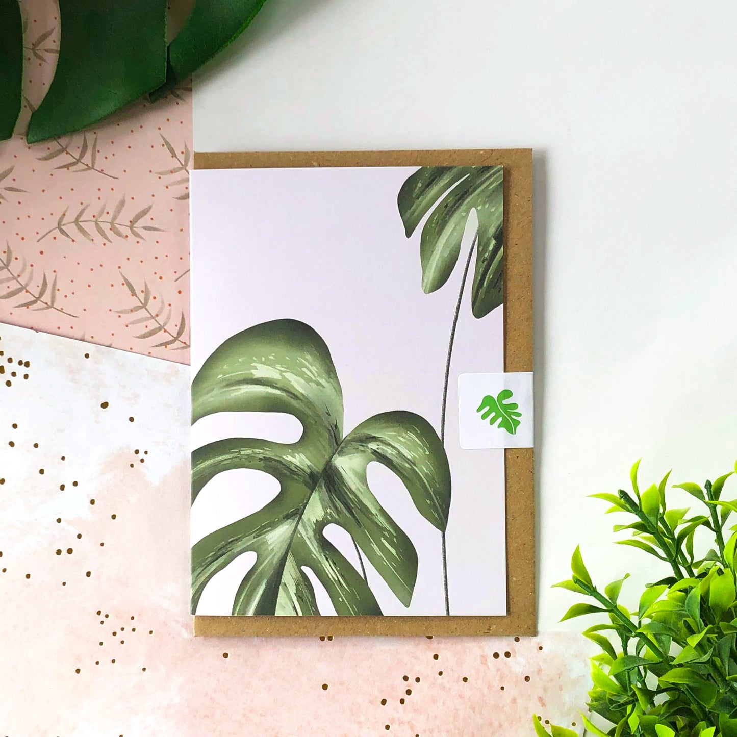 Monstera Variegata Card