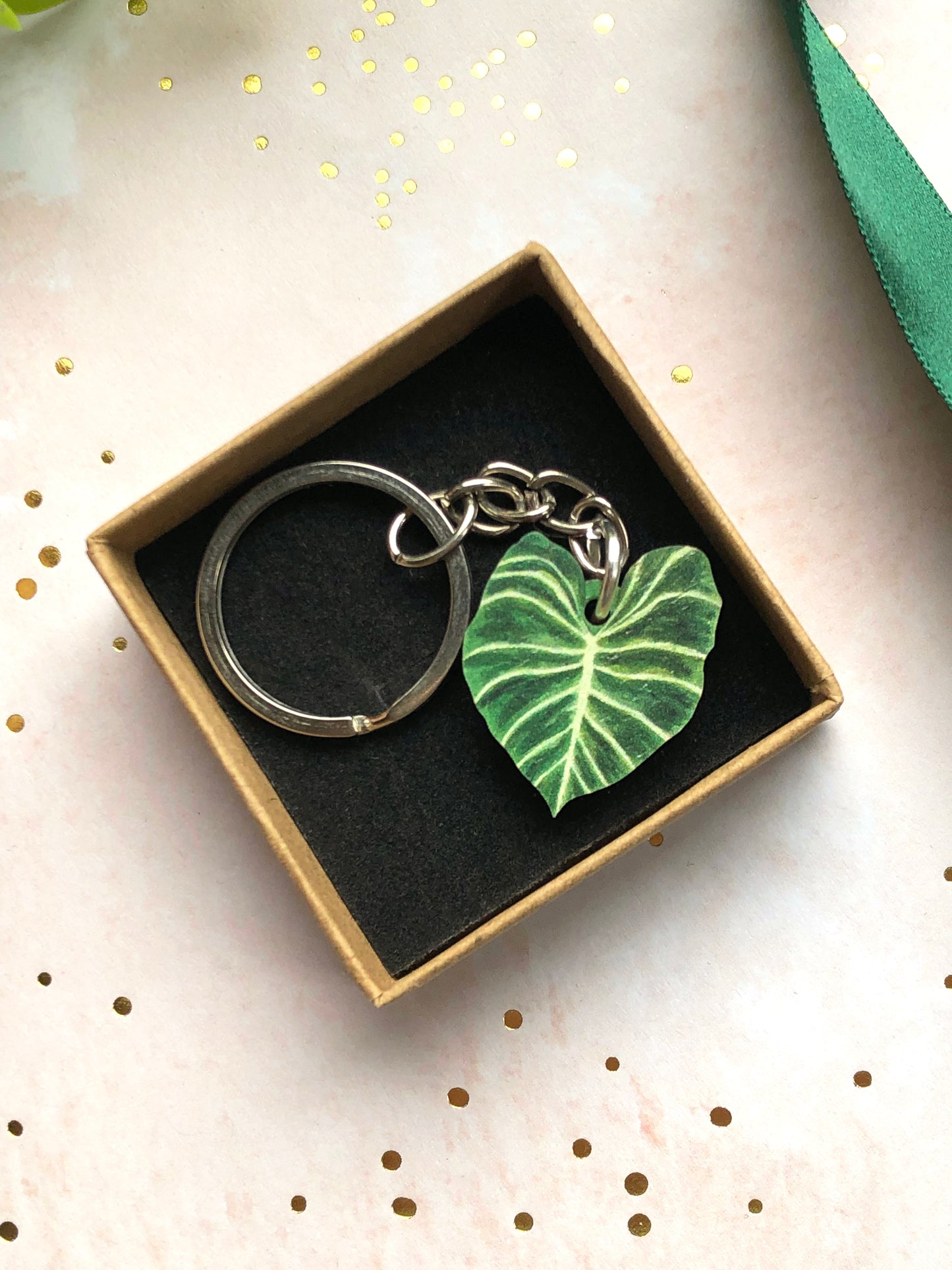 Plant Leaf Silver Plated Keyring Letterbox Gift Set