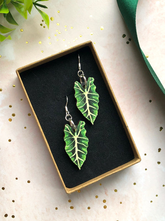 Plant Leaf Silver Plated Earring Letterbox Gift Set