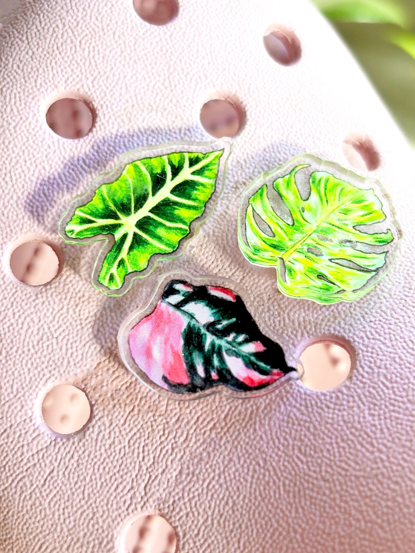 Philodendron Pink Princess Shoe Charm
