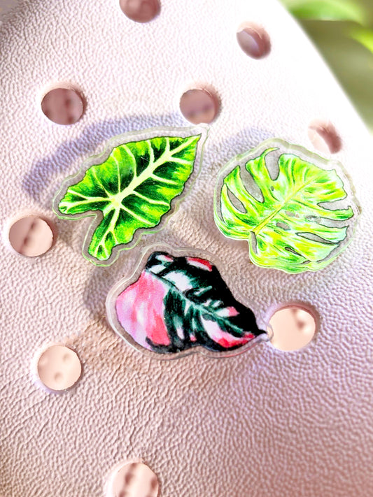 Philodendron Pink Princess Shoe Charm
