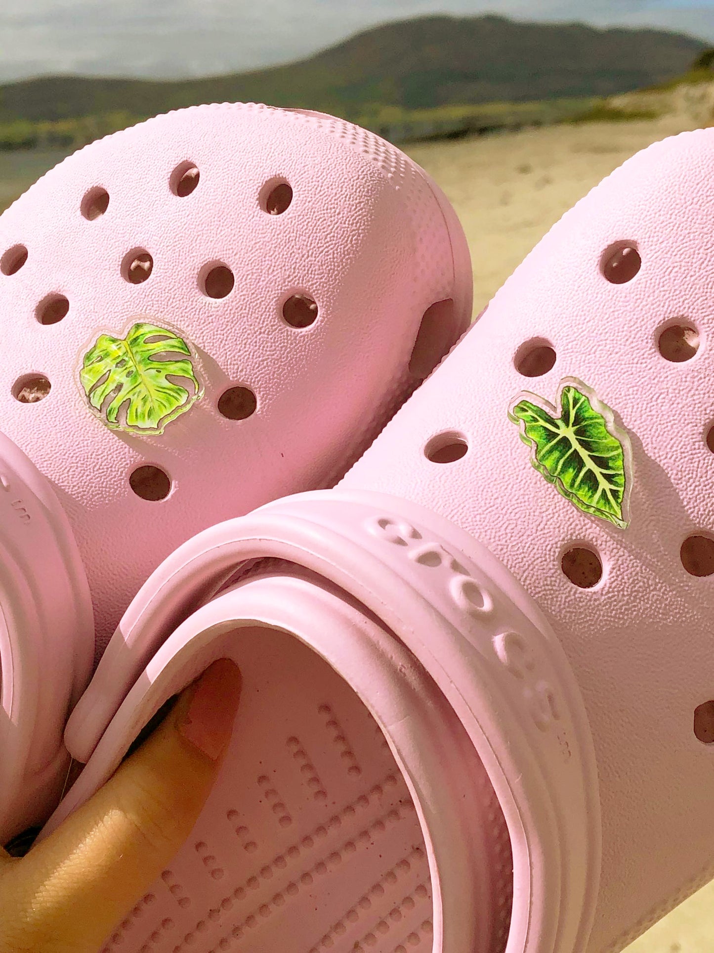 Bright Monstera Deliciosa Shoe Charm