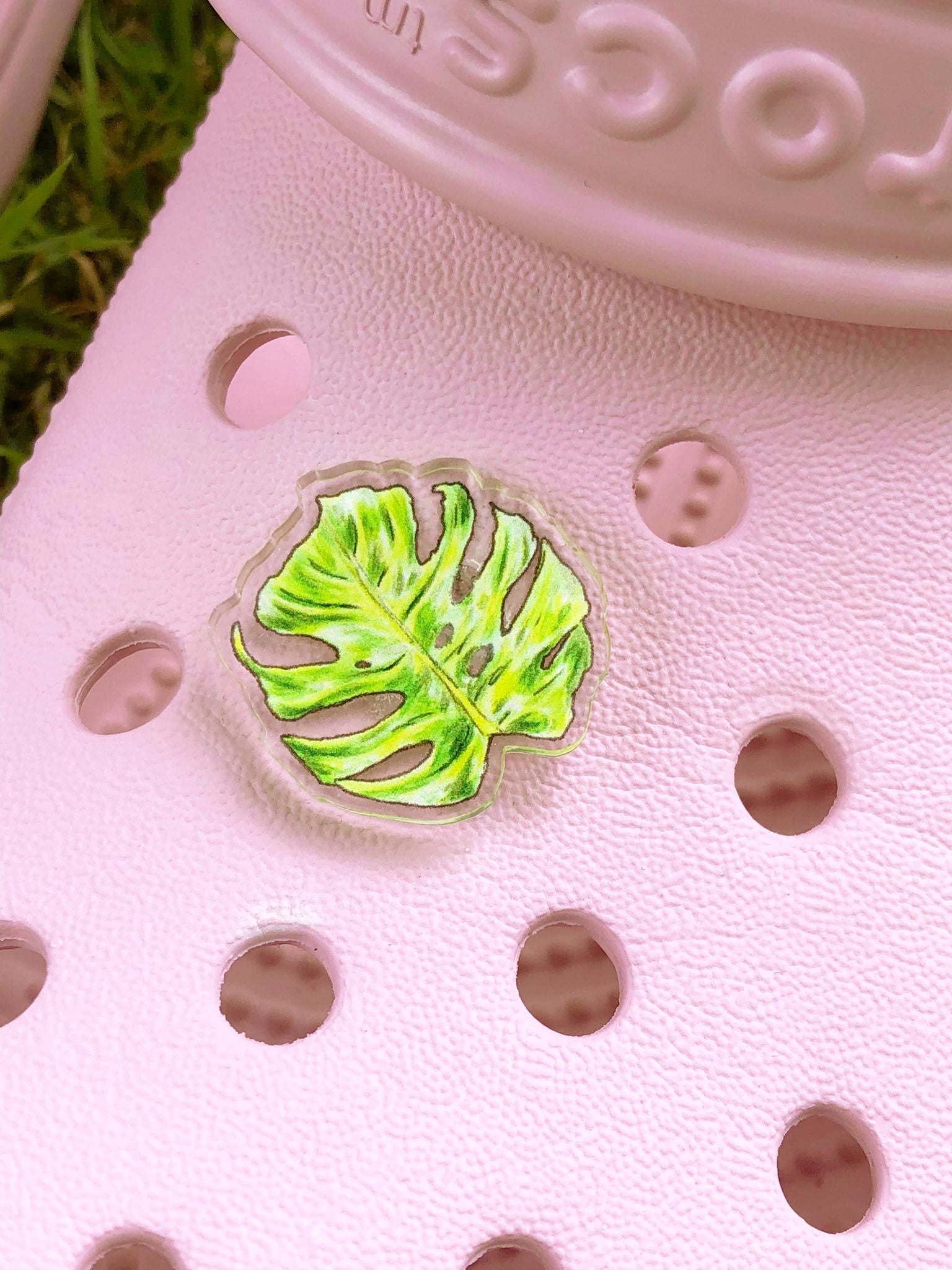 monstera plant crocs Bright Monstera Deliciosa Shoe Charm – Majukooo