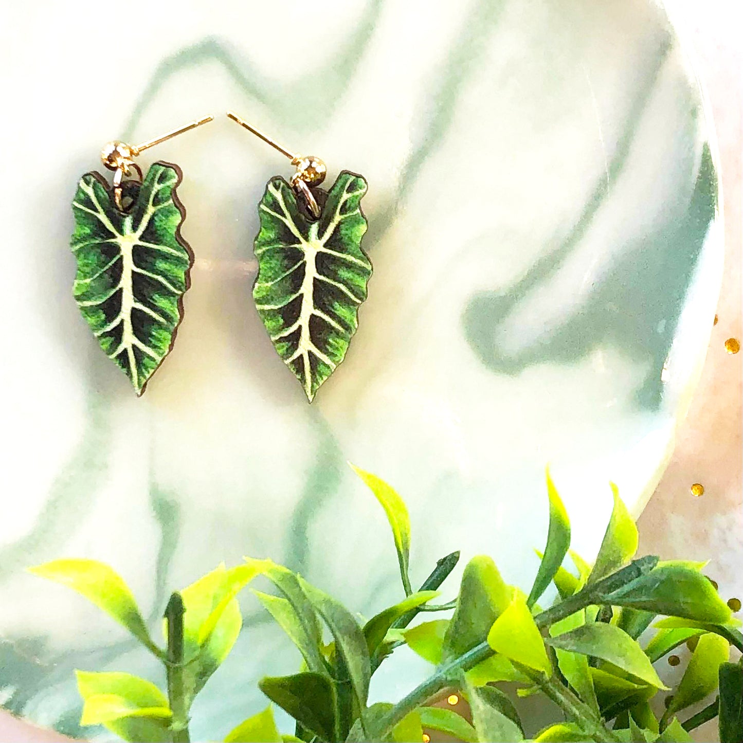 Bright Alocasia Amazonica Earrings