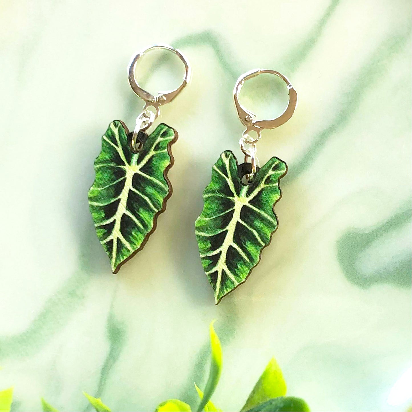 Bright Alocasia Amazonica Earrings