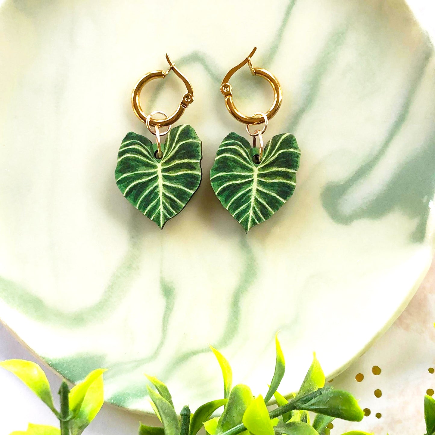 Philodendron Gloriosum Earrings