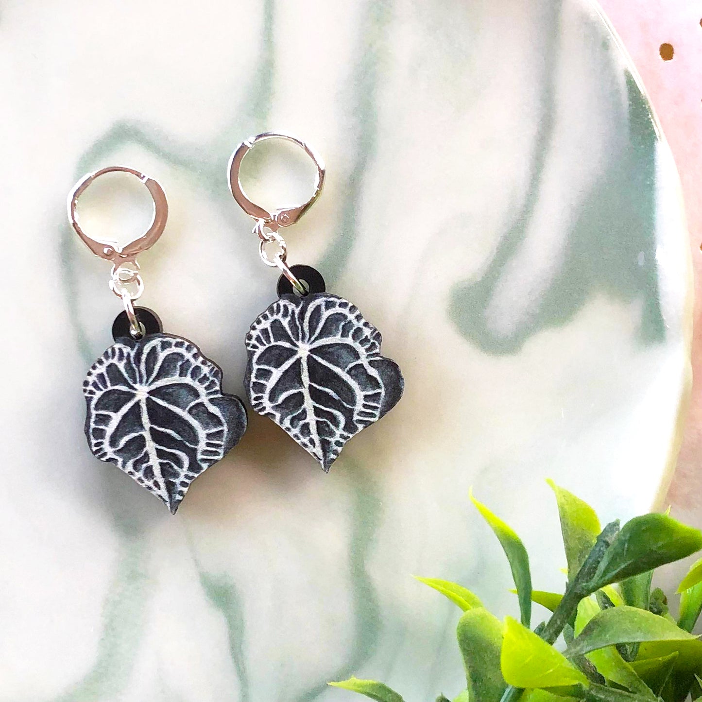 Anthurium Clarinervium Earrings