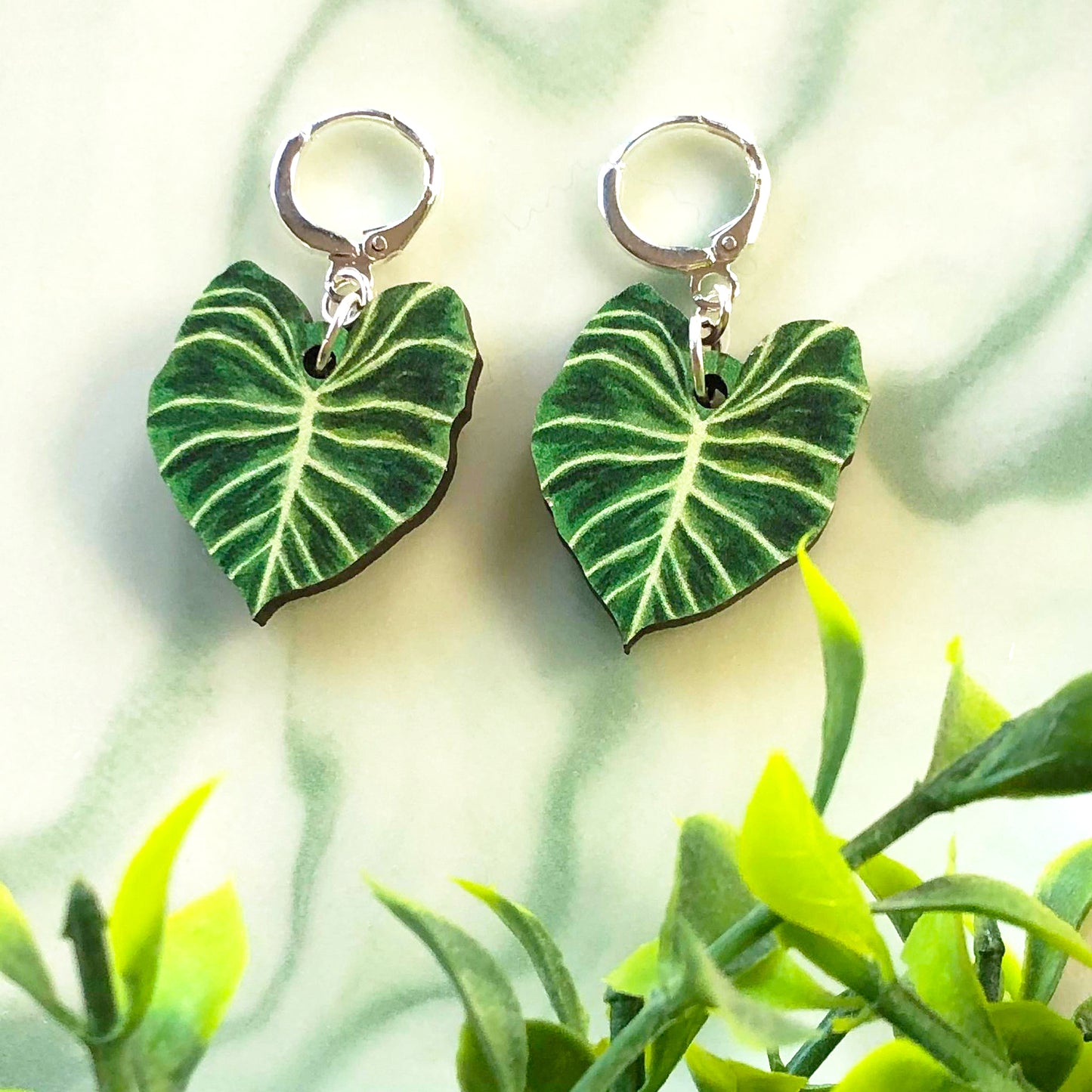 Philodendron Gloriosum Earrings
