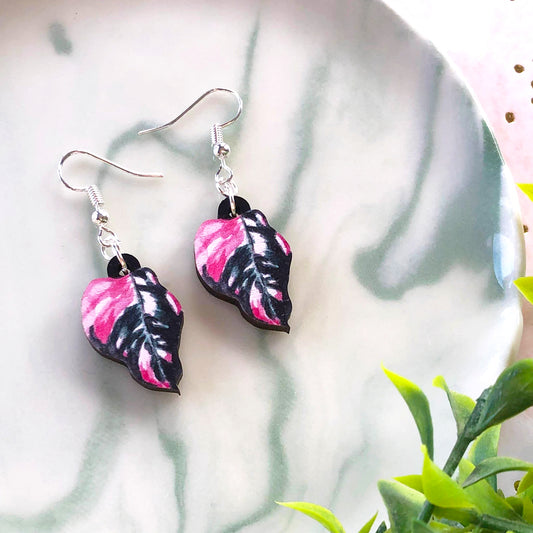 Philodendron Pink Princess Earrings