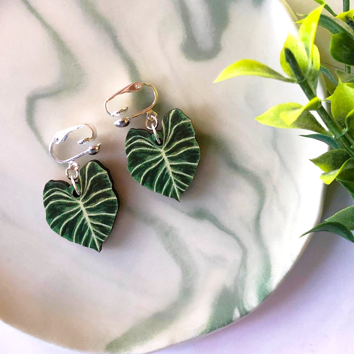 Philodendron Gloriosum Earrings