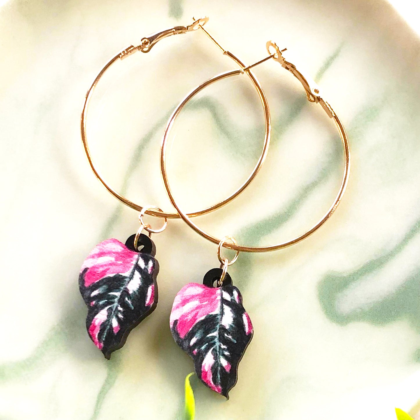 Philodendron Pink Princess Earrings