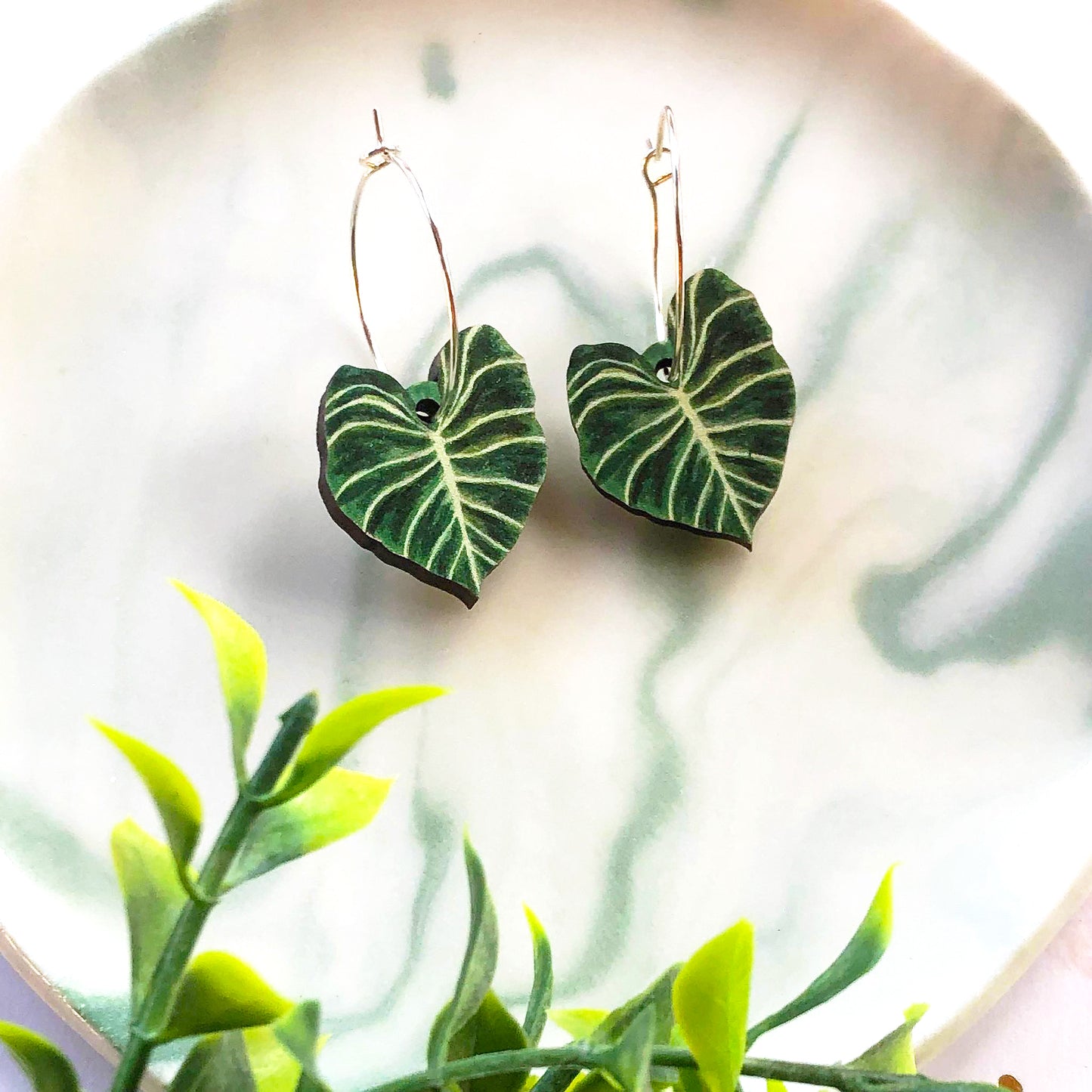 Philodendron Gloriosum Earrings
