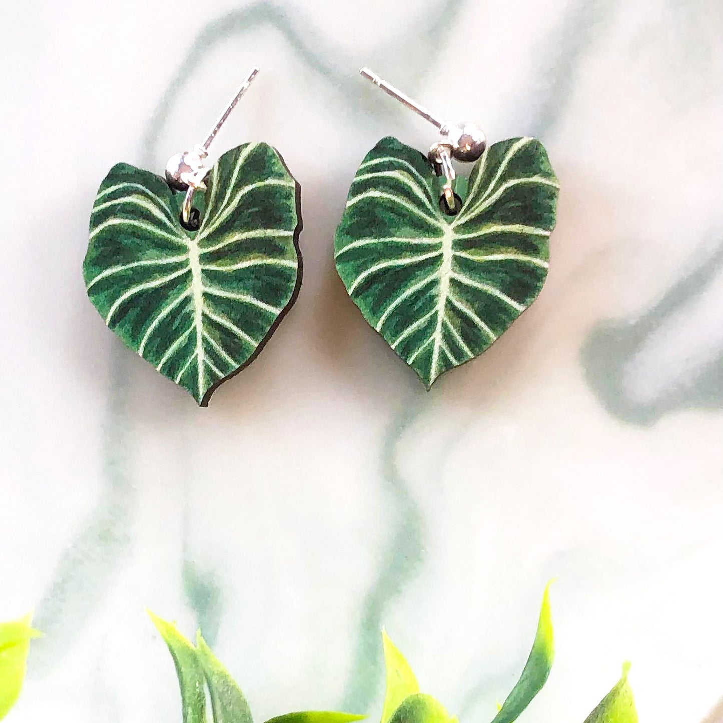 Philodendron Gloriosum Earrings