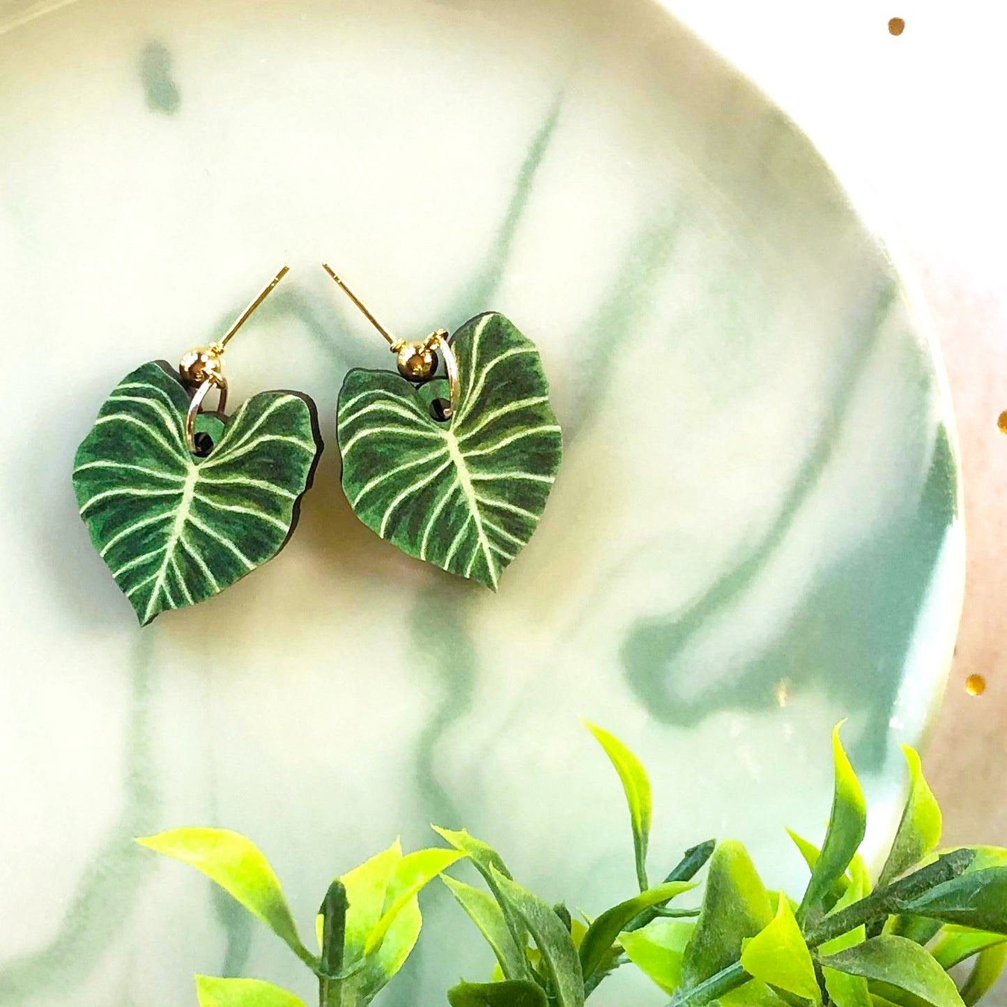 Philodendron Gloriosum Earrings