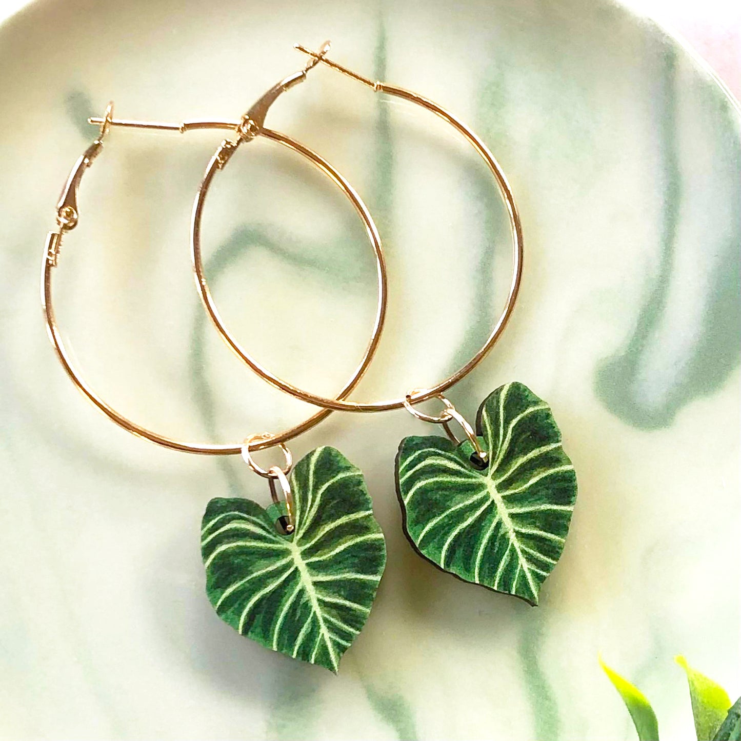 Philodendron Gloriosum Earrings