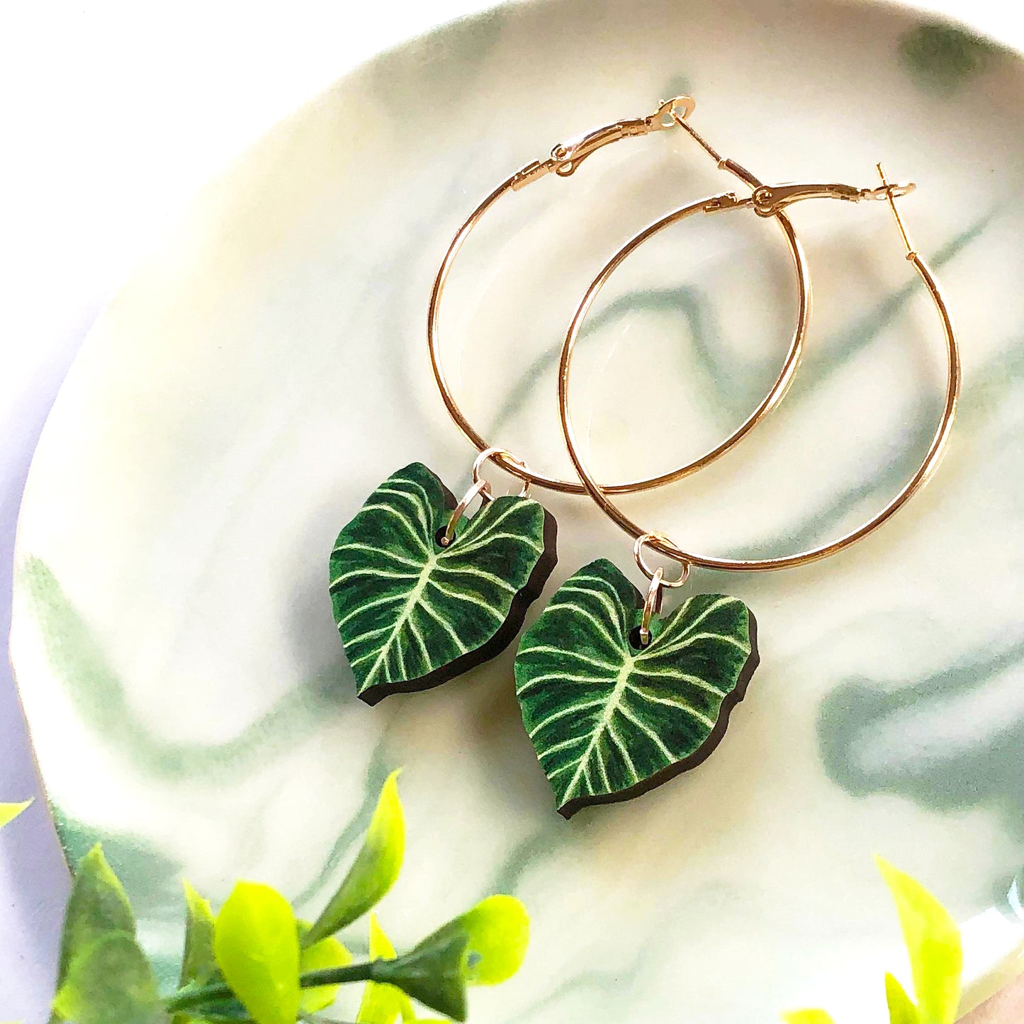 Philodendron Gloriosum Earrings