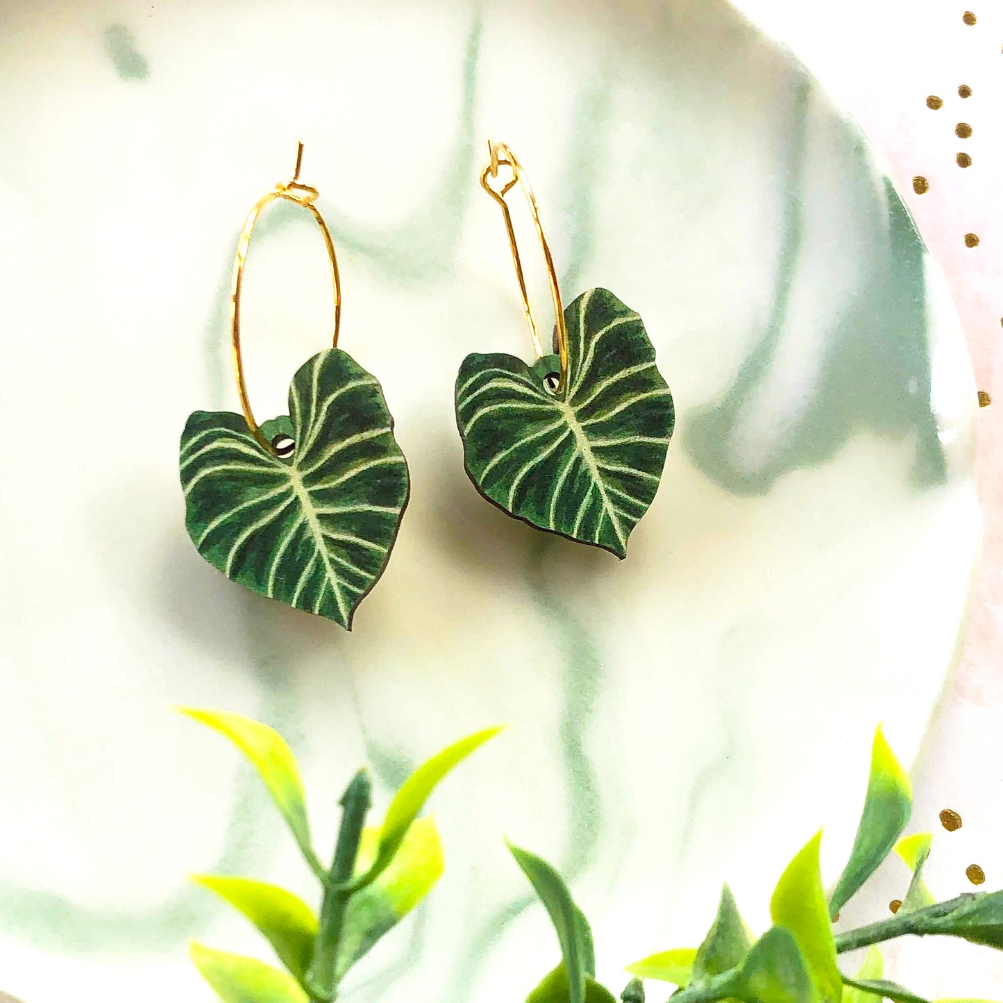 Philodendron Gloriosum Earrings