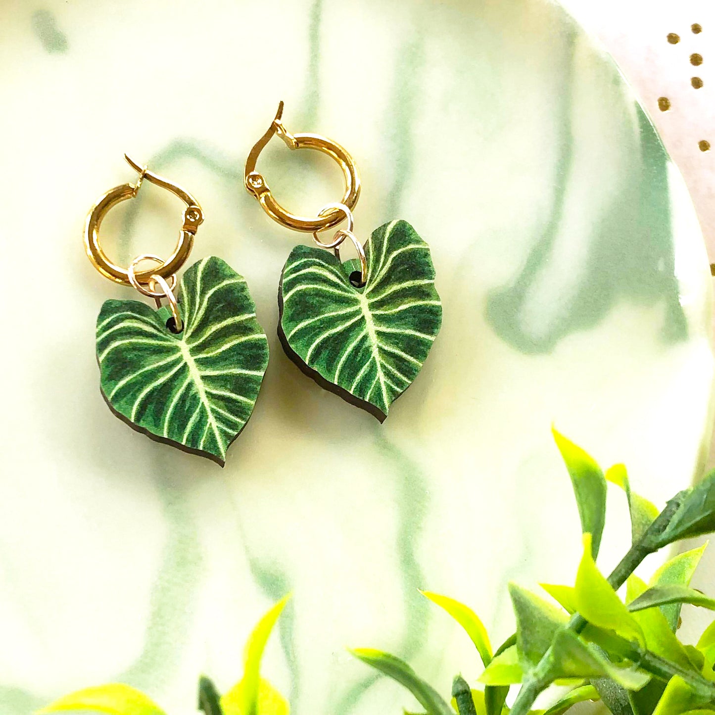 Philodendron Gloriosum Earrings