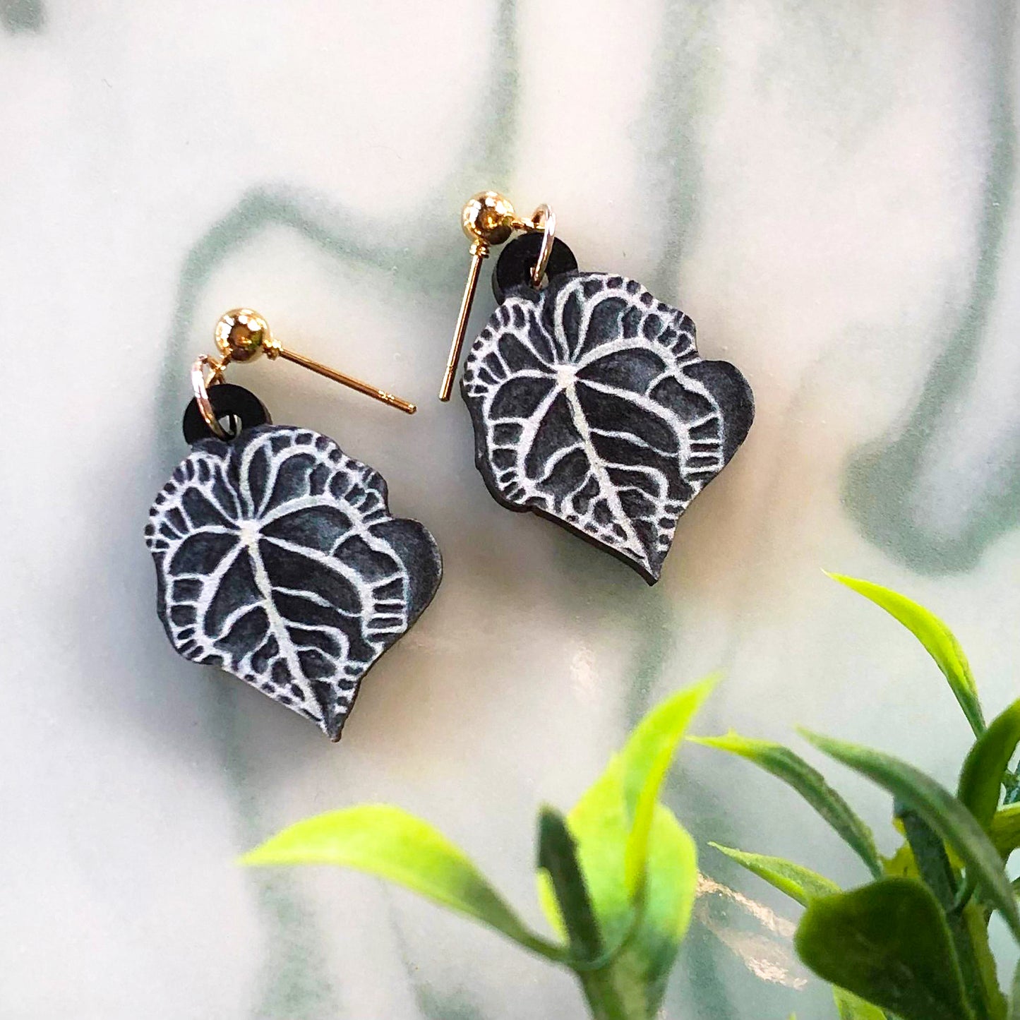 Anthurium Clarinervium Earrings