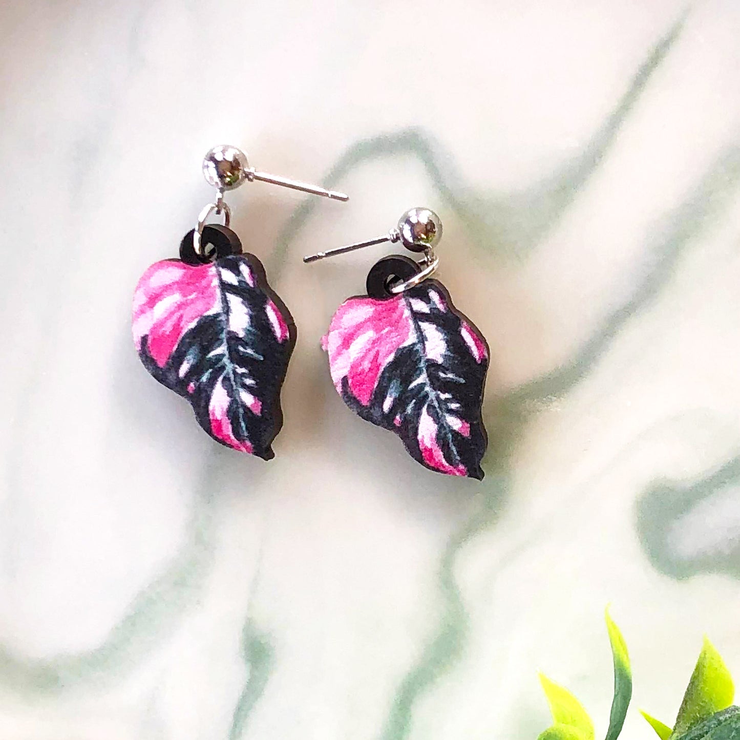 Philodendron Pink Princess Earrings