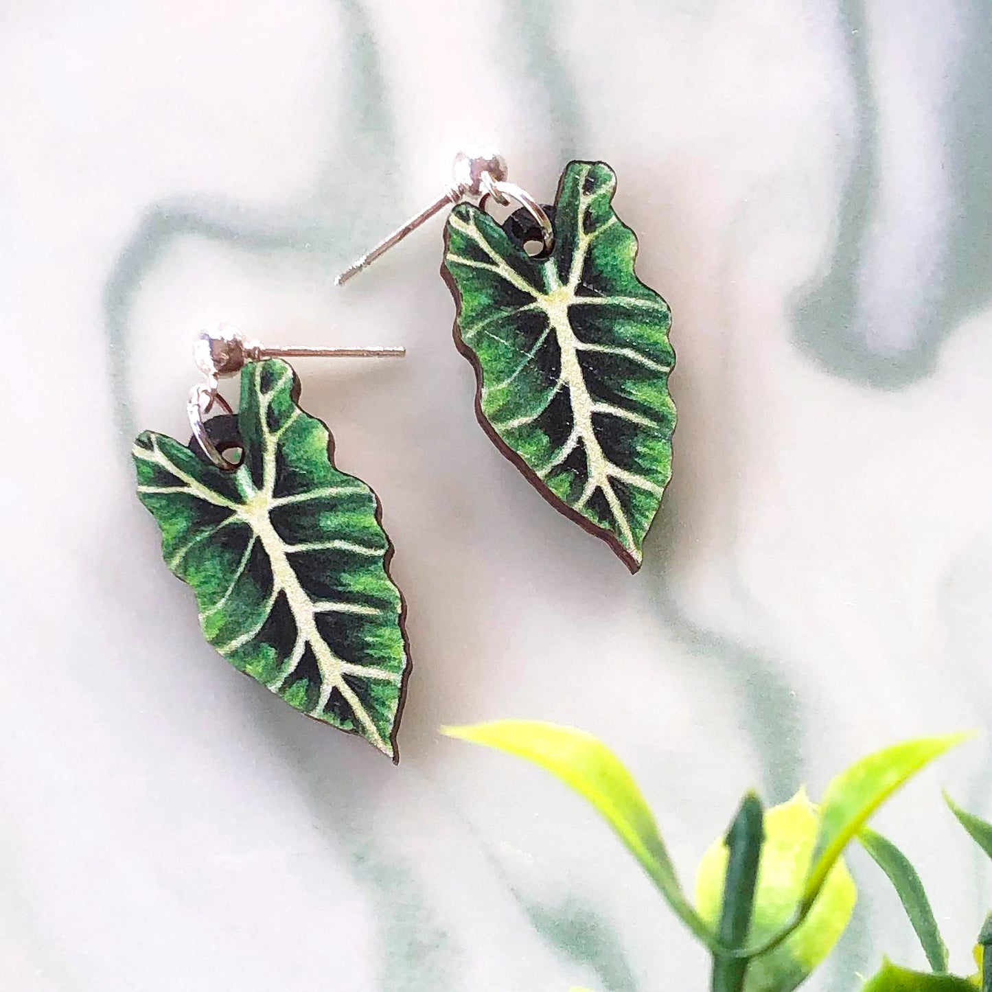 Bright Alocasia Amazonica Earrings