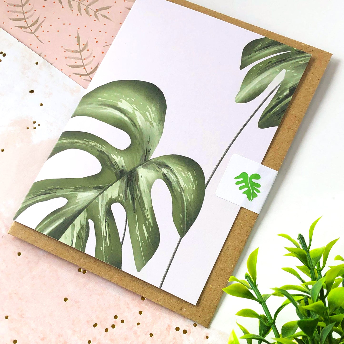 Monstera Variegata Card