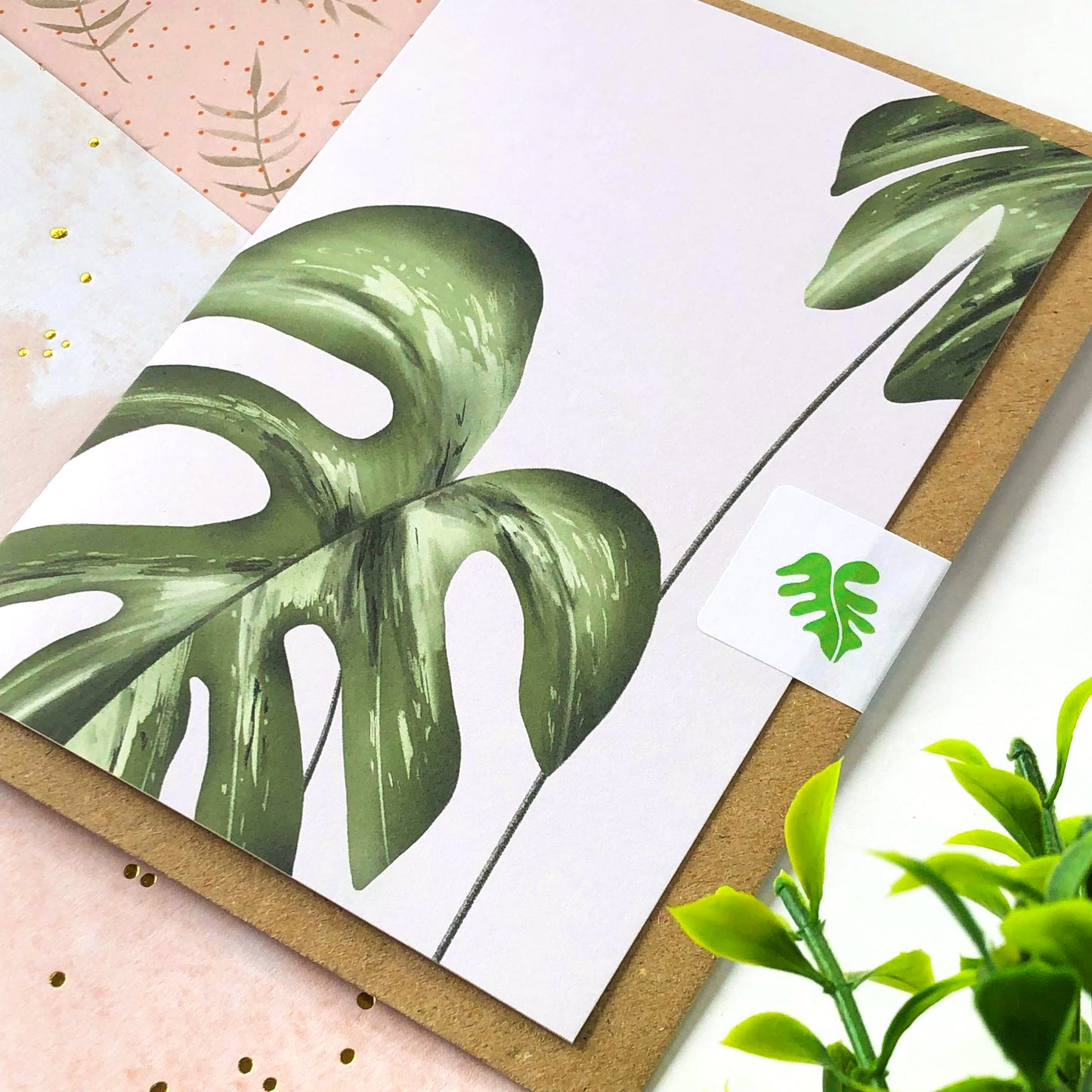 Monstera Variegata Card