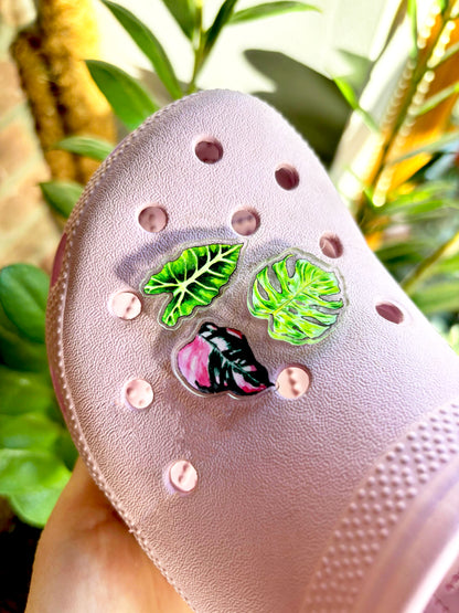 Philodendron Pink Princess Shoe Charm