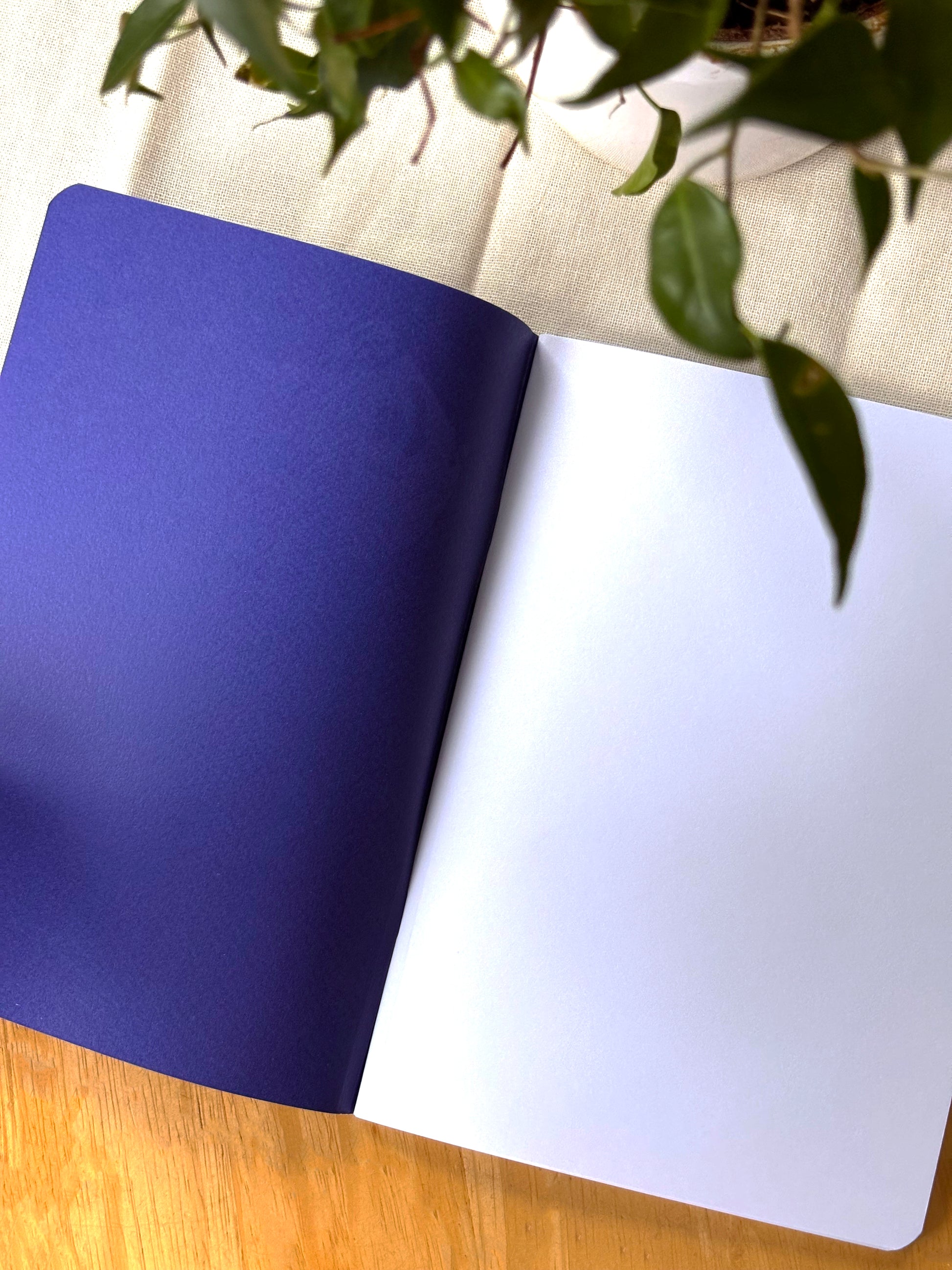 Open notebook with blue cover and white pages on a wooden surface with a plant in the background