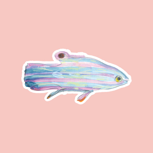 Pink and Blue Fish Sticker