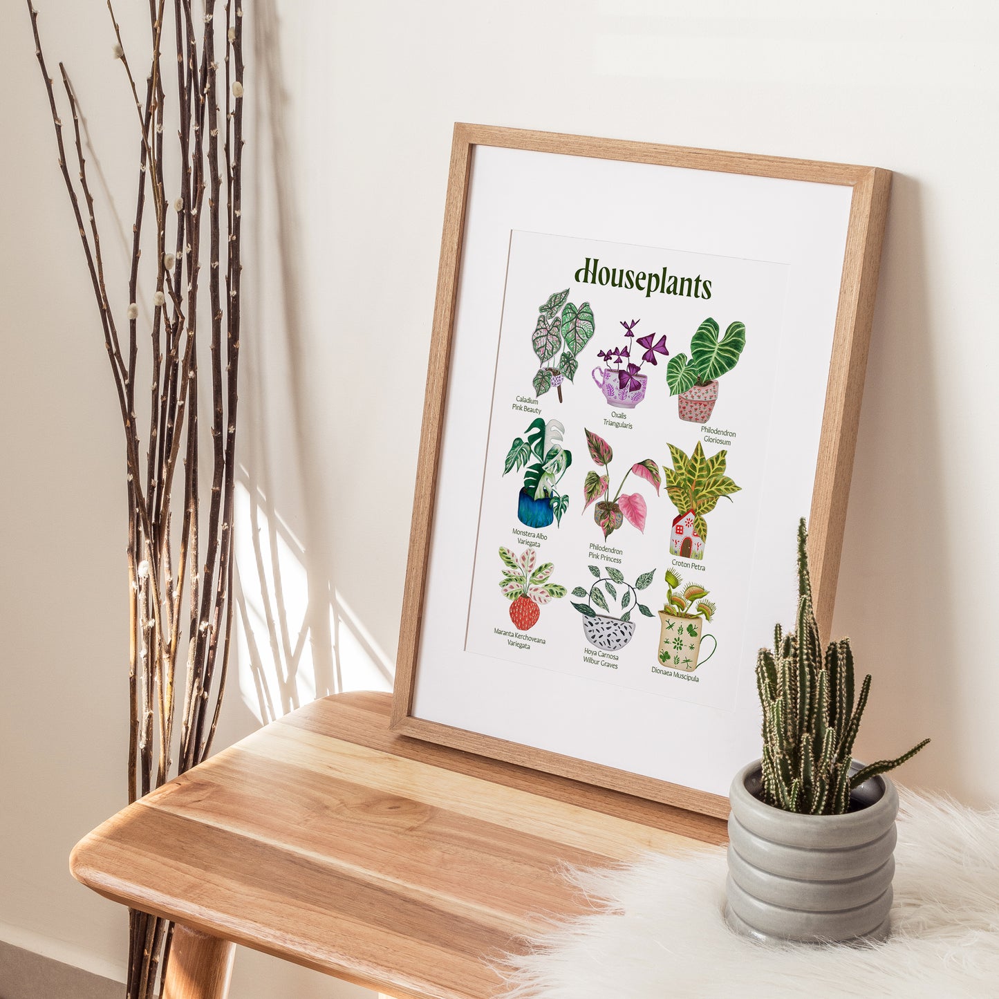 The Houseplants Species Print