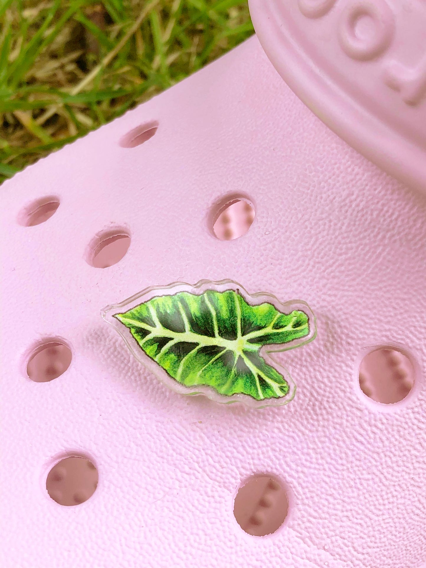 Bright Alocasia Shoe Charm