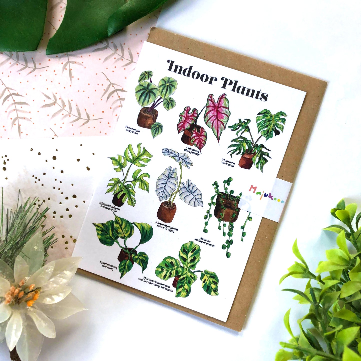Indoor Plant Species A6 Card