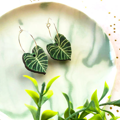 Philodendron Gloriosum Earrings