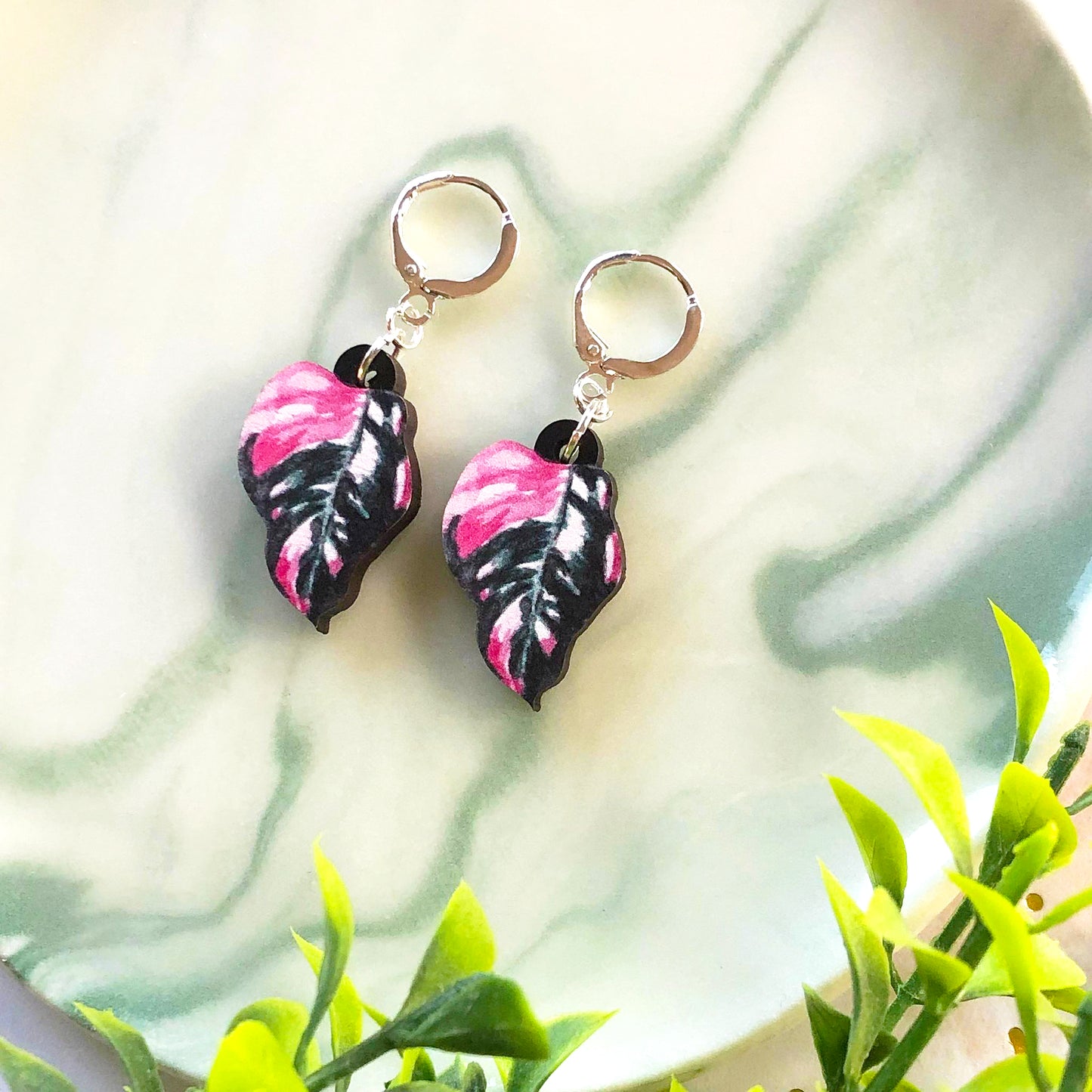 Philodendron Pink Princess Earrings